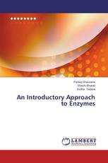 An Introductory Approach to Enzymes