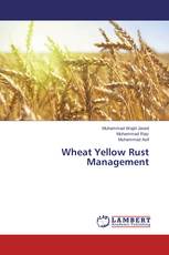 Wheat Yellow Rust Management