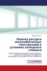Оценка ресурса железобетонных конструкций в условиях холодного климата