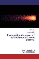 Propagation dynamics of spatio-temporal wave packets
