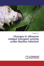 Changes in silkworm midgut transport activity under Bacillus infection