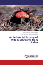 Antimicrobial Activity of Wild Mushrooms from Sudan