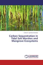 Carbon Sequestration in Tidal Salt Marshes and Mangrove Ecosystems