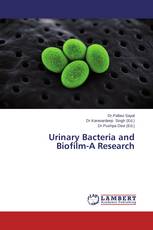 Urinary Bacteria and Biofilm-A Research