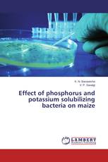 Effect of phosphorus and potassium solubilizing bacteria on maize