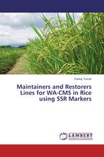 Maintainers and Restorers Lines for WA-CMS in Rice using SSR Markers