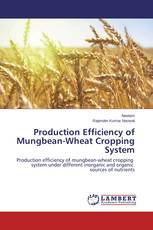 Production Efficiency of Mungbean-Wheat Cropping System
