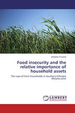 Food insecurity and the relative importance of household assets
