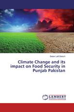 Climate Change and its impact on Food Security in Punjab Pakistan