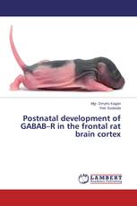 Postnatal development of GABAB–R in the frontal rat brain cortex