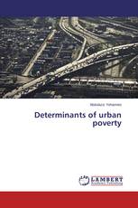 Determinants of urban poverty
