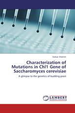 Characterization of Mutations in Chl1 Gene of Saccharomyces cerevisiae