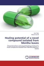 Healing potential of a novel compound isolated from Mentha leaves