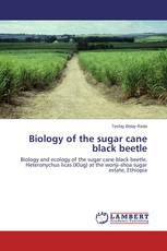 Biology of the sugar cane black beetle