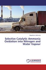 Selective Catalytic Ammonia Oxidation into Nitrogen and Water Vapour
