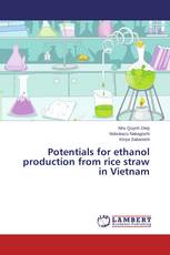 Potentials for ethanol production from rice straw in Vietnam