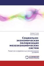 Социально-экономическая поляризация мезоэкономических систем