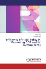 Efficiency of Fiscal Policy in Promoting GDP and Its Determinants