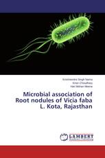Microbial association of Root nodules of Vicia faba L. Kota, Rajasthan