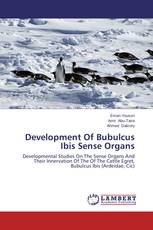 Development Of Bubulcus Ibis Sense Organs