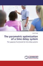 The parametric optimization of a time delay system