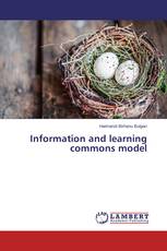 Information and learning commons model