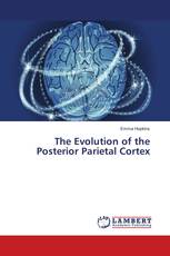 The Evolution of the Posterior Parietal Cortex