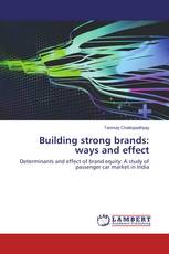 Building strong brands: ways and effect