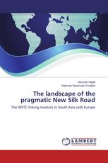 The landscape of the pragmatic New Silk Road