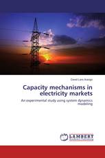 Capacity mechanisms in electricity markets