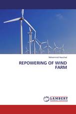 Repowering of Wind Farm