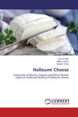 Halloumi Cheese
