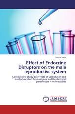 Effect of Endocrine Disruptors on the male reproductive system