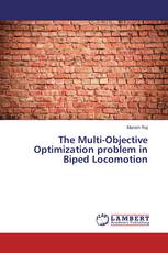 The Multi-Objective Optimization problem in Biped Locomotion