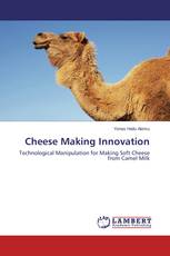 Cheese Making Innovation