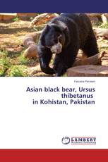 Asian black bear, Ursus thibetanus in Kohistan, Pakistan