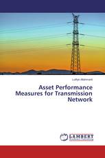 Asset Performance Measures for Transmission Network