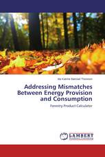 Addressing Mismatches Between Energy Provision and Consumption
