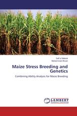 Maize Stress Breeding and Genetics