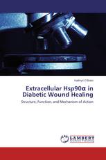Extracellular Hsp90α in Diabetic Wound Healing
