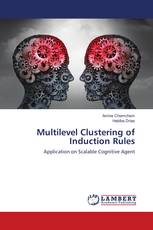 Multilevel Clustering of Induction Rules