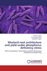 Mustard root architecture and yield under phosphorus deficiency stress
