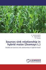 Sources sink relationship in hybrid maize (Zeamays L.)