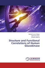 Structure and Functional Correlations of Human Glucokinase