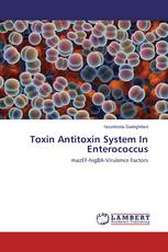Toxin Antitoxin System In Enterococcus