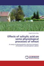 Effects of salicylic acid on some physiological processes of wheat