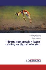 Picture compression issues relating to digital television