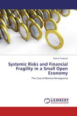 Systemic Risks and Financial Fragility in a Small Open Economy