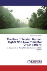 The Role of Ivorian Human Rights Non-Governmental Organisations