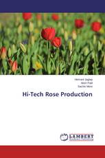 Hi-Tech Rose Production